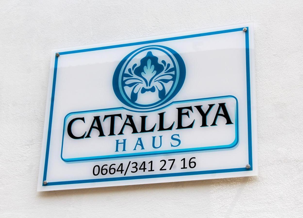 Catalleya Haus グナーデンヴァルト エクステリア 写真